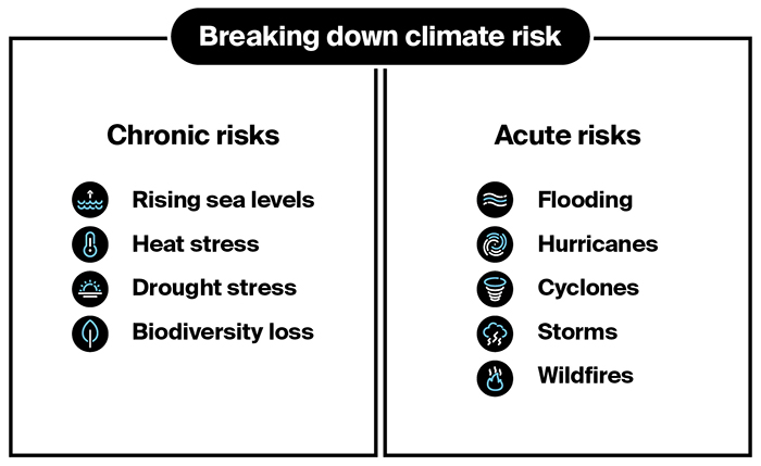 chart breaking down climate risk