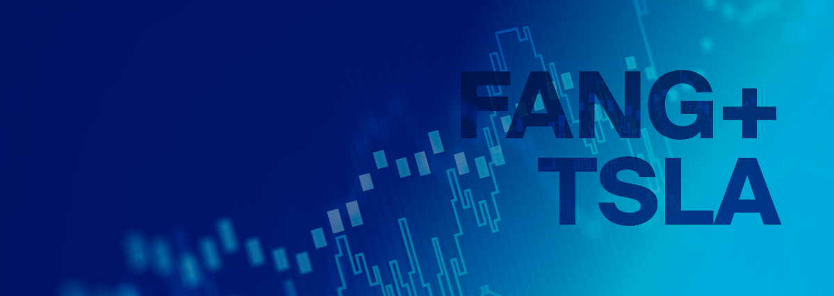 FANGPlus Trading and Risk Management